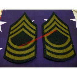 WW2 - Grade de Master Sergeant