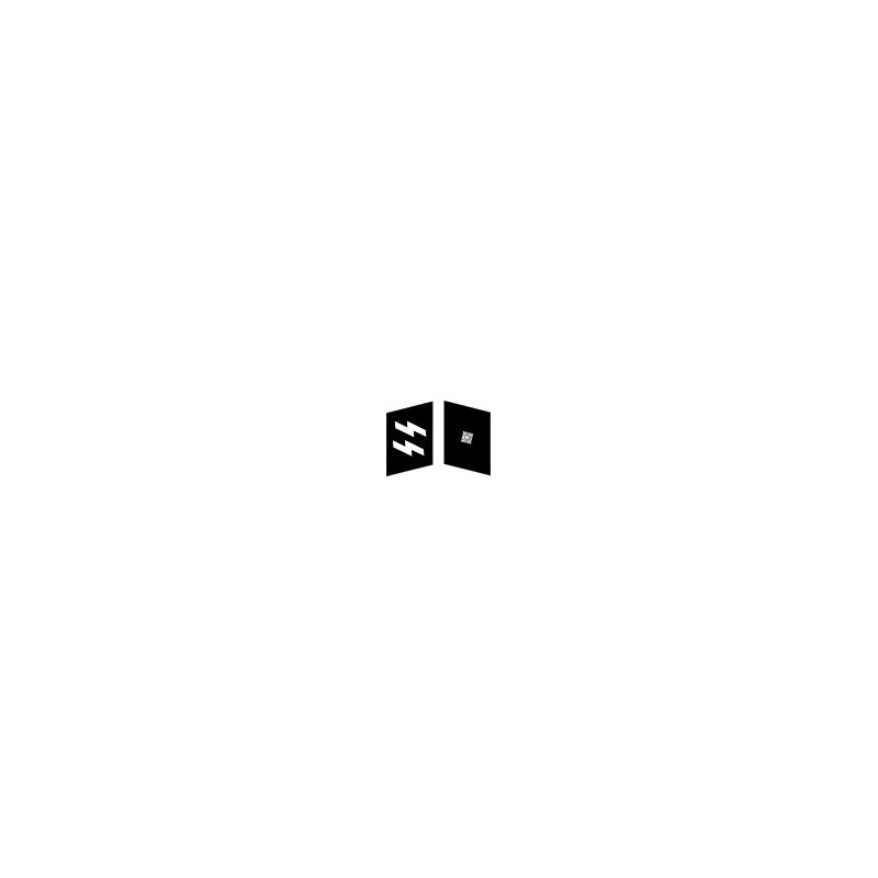 GER - insigne de col - Obersharfürher- WX GER - insigne de col - Obersharfürher- WX