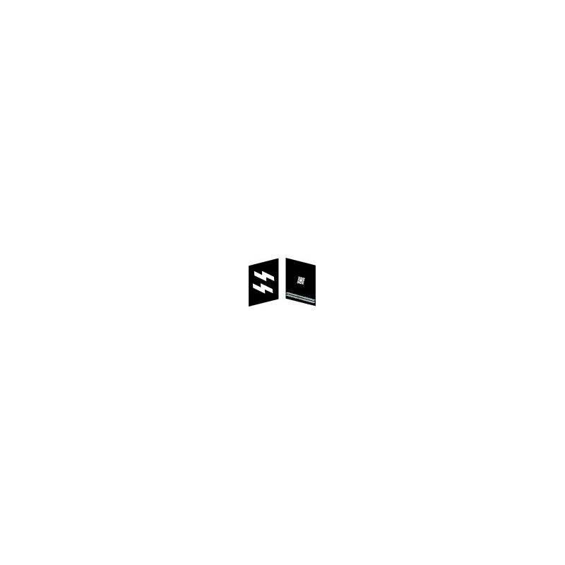 GER - insigne de col - Obersharfürher- WX GER - insigne de col - Obersharfürher- WX