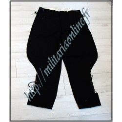 Pantalon Allgemeine M32...